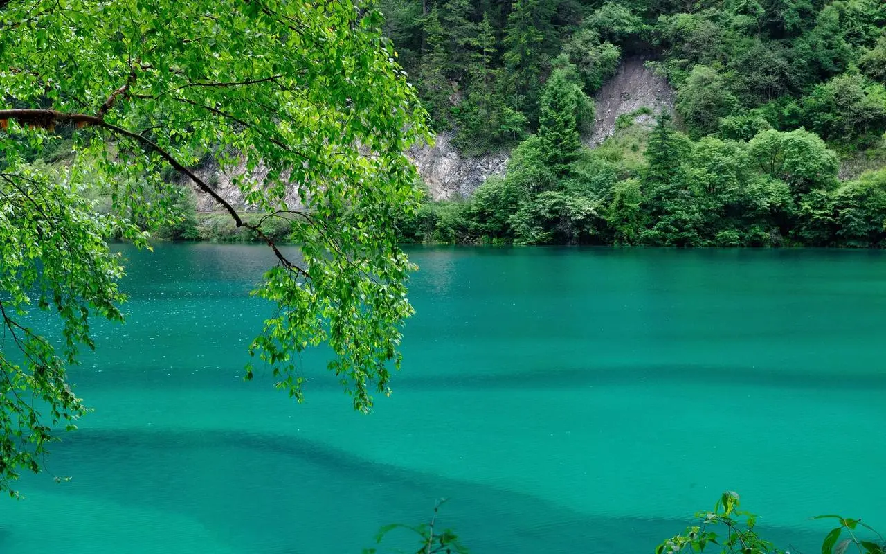 创意环保高标准